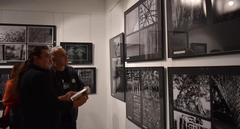 wystawy, Wernisaż „Struktury” Fotograficzne arcydzieła scenie Bialskiej Galerii Fotografii - zdjęcie, fotografia