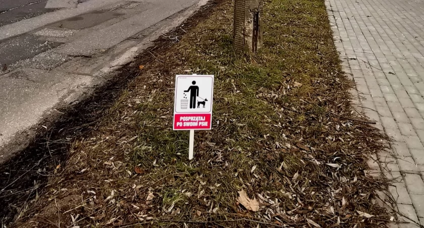Fot. Zieleń Miejska Biała Podlaska 