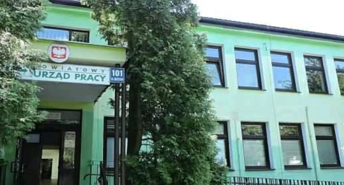Urząd, Urząd Pracy pokazać swoje klasom maturalnym Białej Podlaskiej powiatu bialskiego - zdjęcie, fotografia