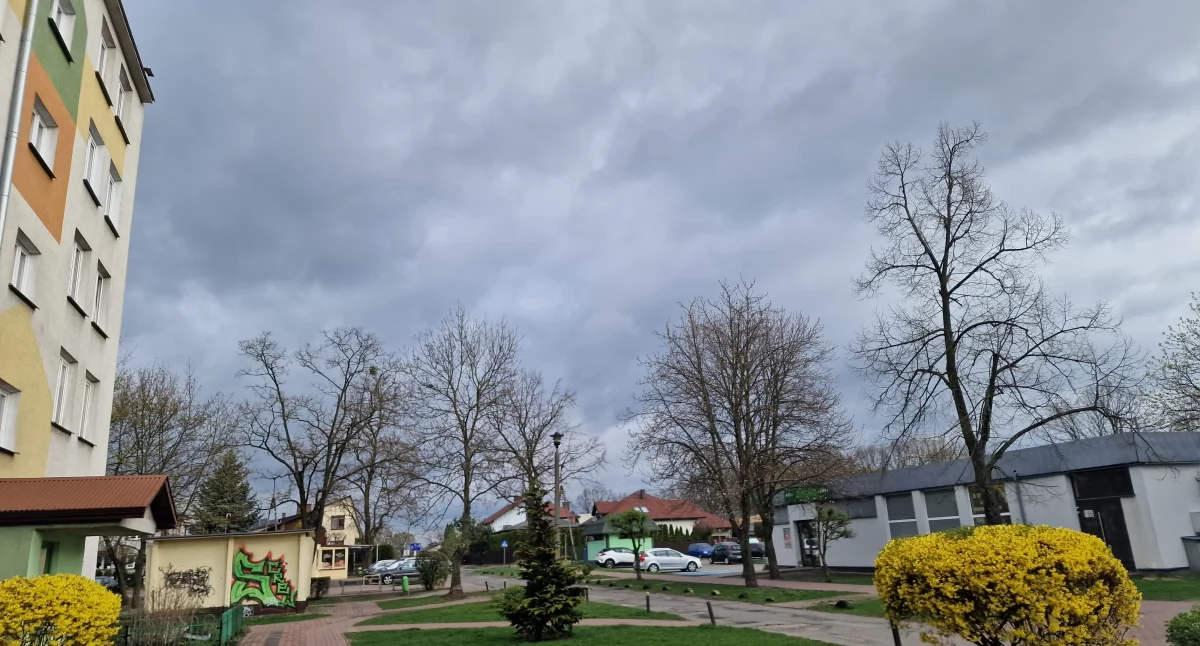 Meterologia, Ostrzeżenie meteorologiczne powiatu bialskiego mocno powiać - zdjęcie, fotografia