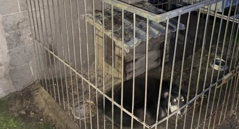 fot. KMP Biała Podlaska
