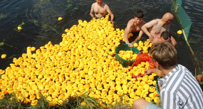 Pomoc, Zabawa pomoc potrzebującym parze! Rotariański Wyścig Kaczek Białej Podlaskiej - zdjęcie, fotografia
