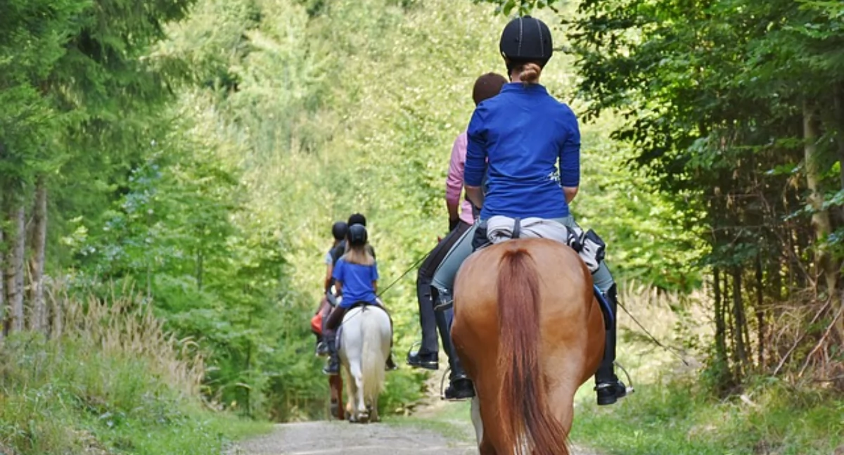 konkurs, Niezapomniane zawody Stajni Pleasure Pasja elegancja hobby horse - zdjęcie, fotografia