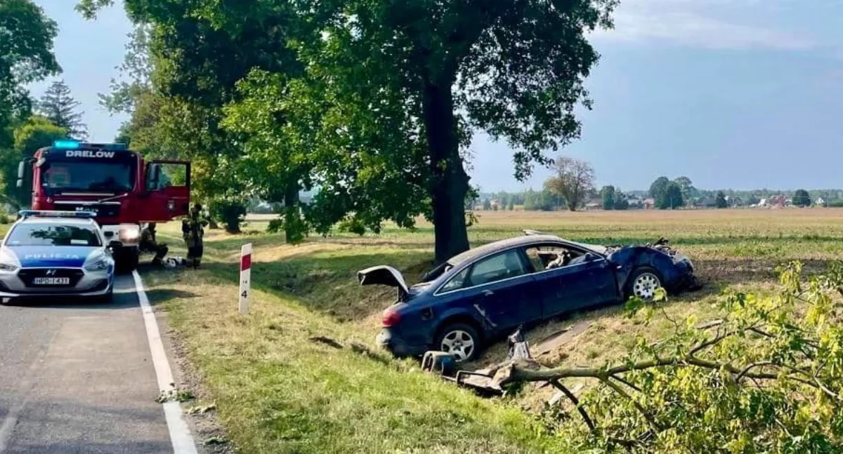 wypadki, Tragiczny finał brawury Kierowca zginął zjechaniu drogi - zdjęcie, fotografia