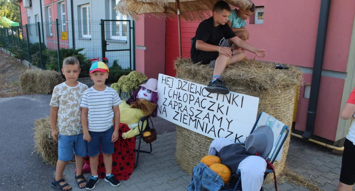 festyny, Ziemniaczana uczta Komarnie Kolonii Muzyka zabawa smakowite dania jesiennym pikniku - zdjęcie, fotografia