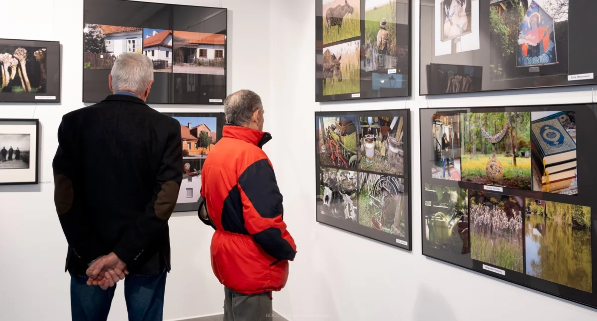 wystawy, Zanurz świecie emocji Wystawa twórczości wybitnego bialskiego artysty Marka Rypiny - zdjęcie, fotografia