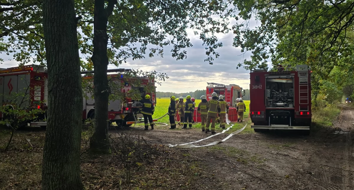 pożary, Ćwiczenia strażackie skuteczna walka pożarem dużą skalę Leśnictwie Lutnia gminie Zalesie - zdjęcie, fotografia