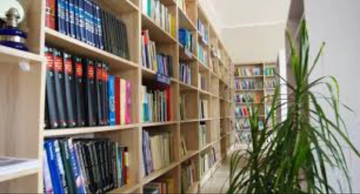 ludzie, Bibliotek Białej Podlaskiej pełen atrakcji dzień miłośników książek kultury - zdjęcie, fotografia