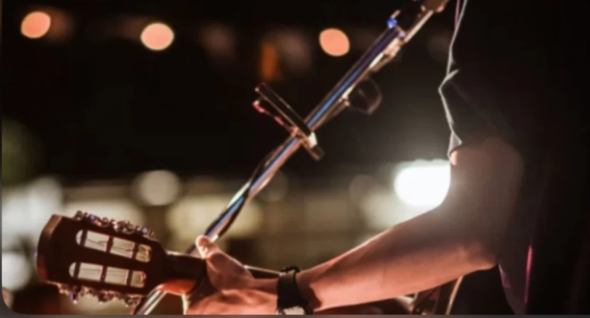 koncerty, Koncert „Źródła nurty ujścia” Muzyczna podróż Zofią Bartoszewicz Igorem Buszkowskim - zdjęcie, fotografia