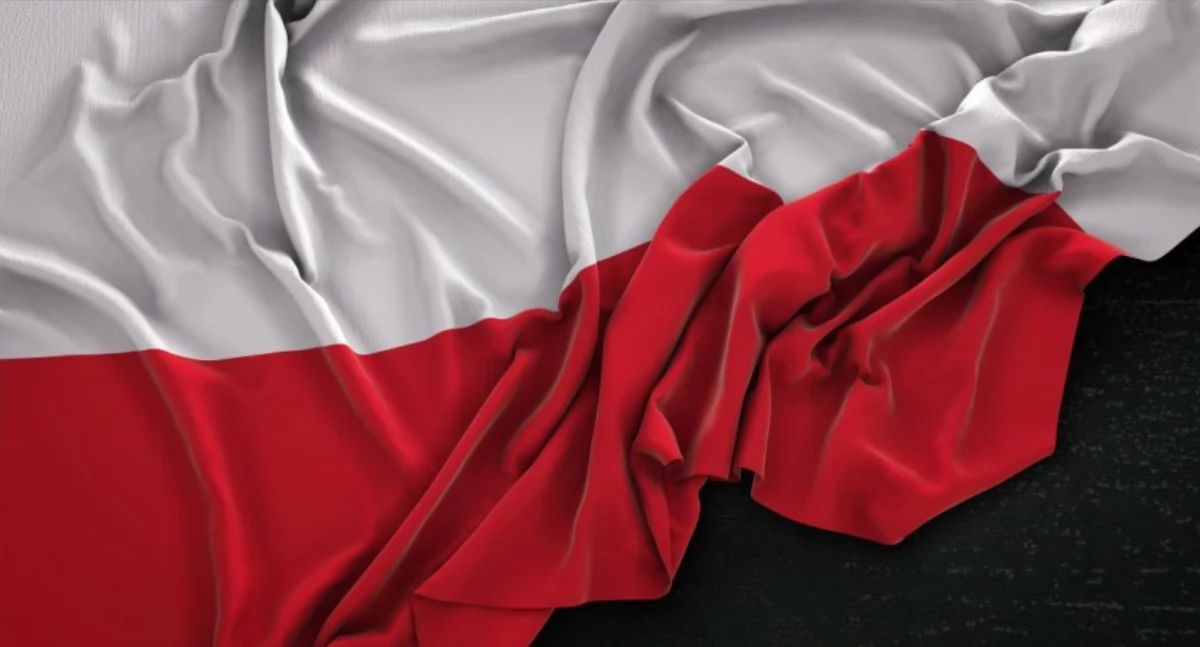 historia, Gmina Sosnówka pamięta bohaterach Uroczystości patriotyczne okazji rocznicy odzyskania niepodległości - zdjęcie, fotografia