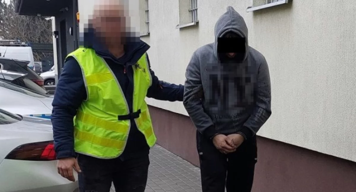 Kradzież, Kradzież paliwa użyciem skradzionych tablic rejestracyjnych latek rękach policji - zdjęcie, fotografia
