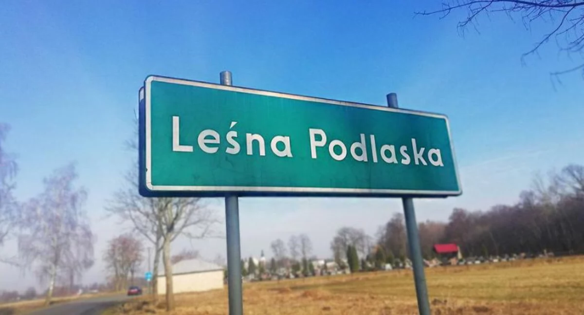 Urząd, Diagnoza Problemów Społecznych terenie Gminy Leśna Podlaska kwestionariusz ankiety internetowej - zdjęcie, fotografia