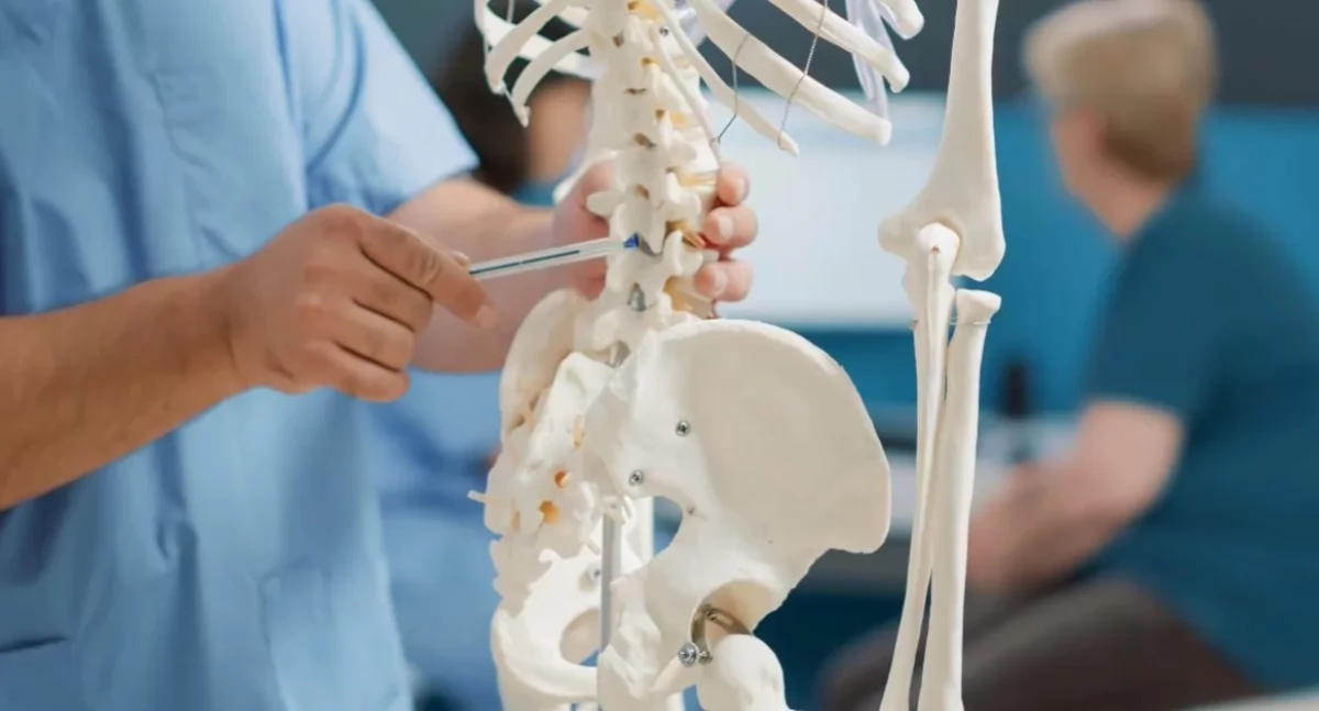 zdrowie, Bezpłatne badanie kierunku osteoporozy zbadaj swoje kości! - zdjęcie, fotografia