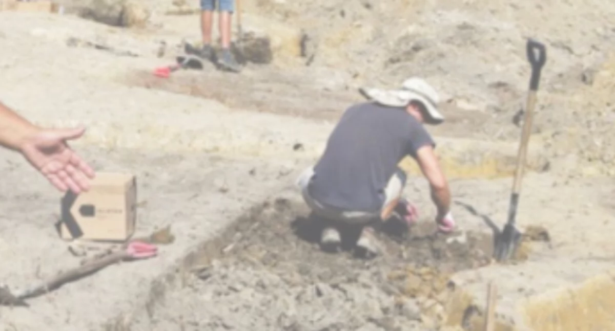 historia, Najstarsze dzieje Janowa Biskupiego spotkanie archeologią - zdjęcie, fotografia