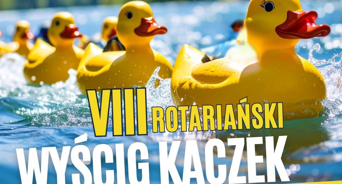 ludzie, Kaczki znów popłyną Krzną! Rotariański wyścig Białej Podlaskiej wesprze schronisko „Azyl” - zdjęcie, fotografia