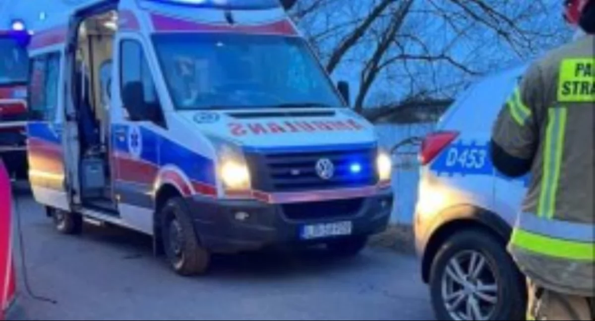 wypadki, Wypadek drogowy Neplach samochód osobowy wypadł drogi - zdjęcie, fotografia