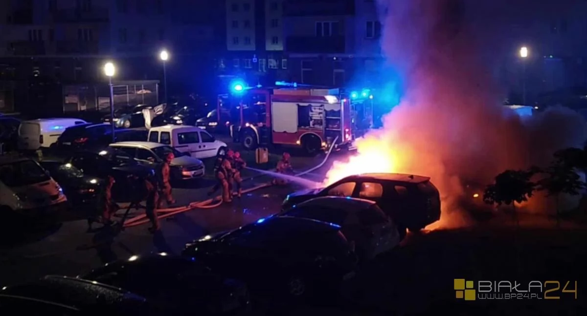 pożary, Podejrzany podpalenie czerwca rękach policji! Grozi nawet - zdjęcie, fotografia
