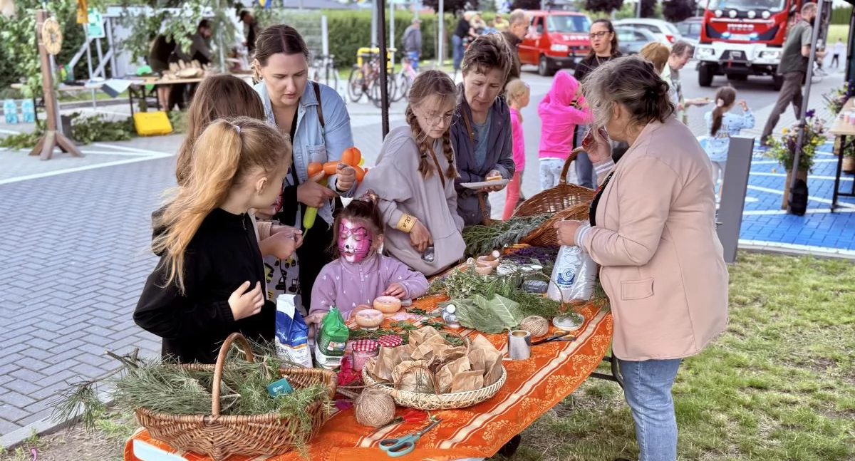 festyny, Piknik edukacyjny Dialogu aktywności edukacja leśna sercu Międzyrzeca Podlaskiego - zdjęcie, fotografia