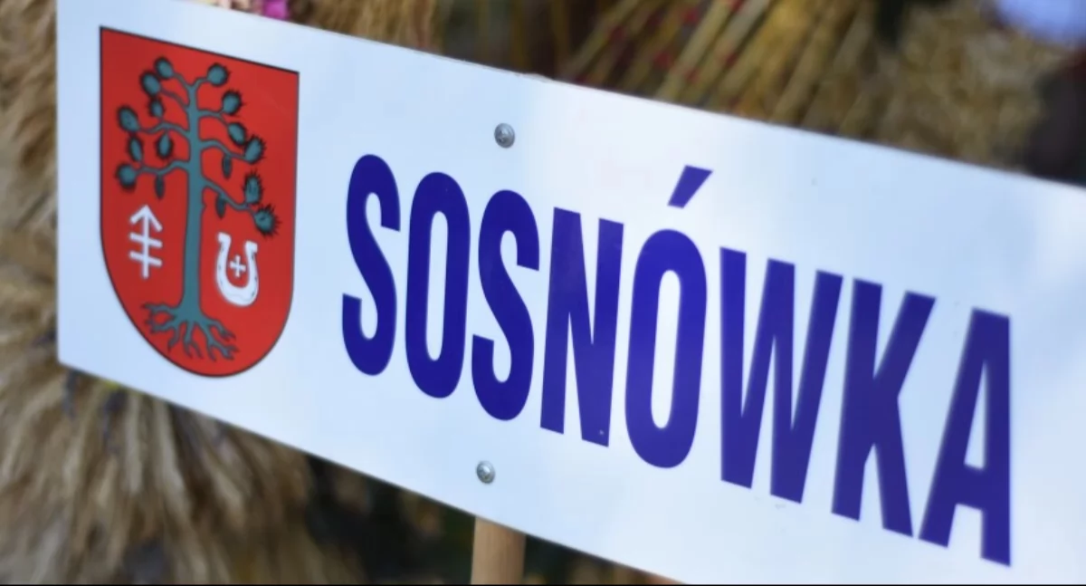 konkurs, Sport rywalizacja dobra zabawa Integracyjny Turniej Sportowy sierpnia Sosnówce - zdjęcie, fotografia
