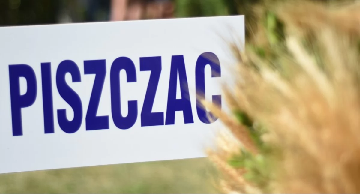 festyny, Dożynki Gminno Parafialne Piszczacu dzień pełen tradycji muzyki wspólnego świętowania - zdjęcie, fotografia