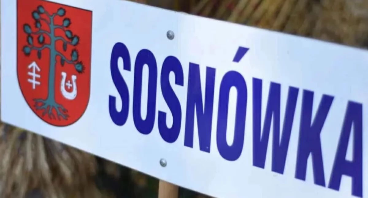 warsztaty, Aktywność tradycja integracja Gminny Ośrodek Kultury Sosnówce organizuje treningów szermierki łucznictwa - zdjęcie, fotografia