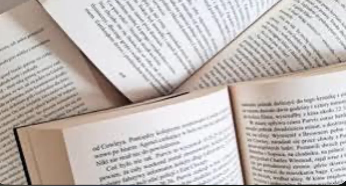 Biblioteka, Spotkanie literaturą współczesną Dyskusyjny Książki zaprasza - zdjęcie, fotografia