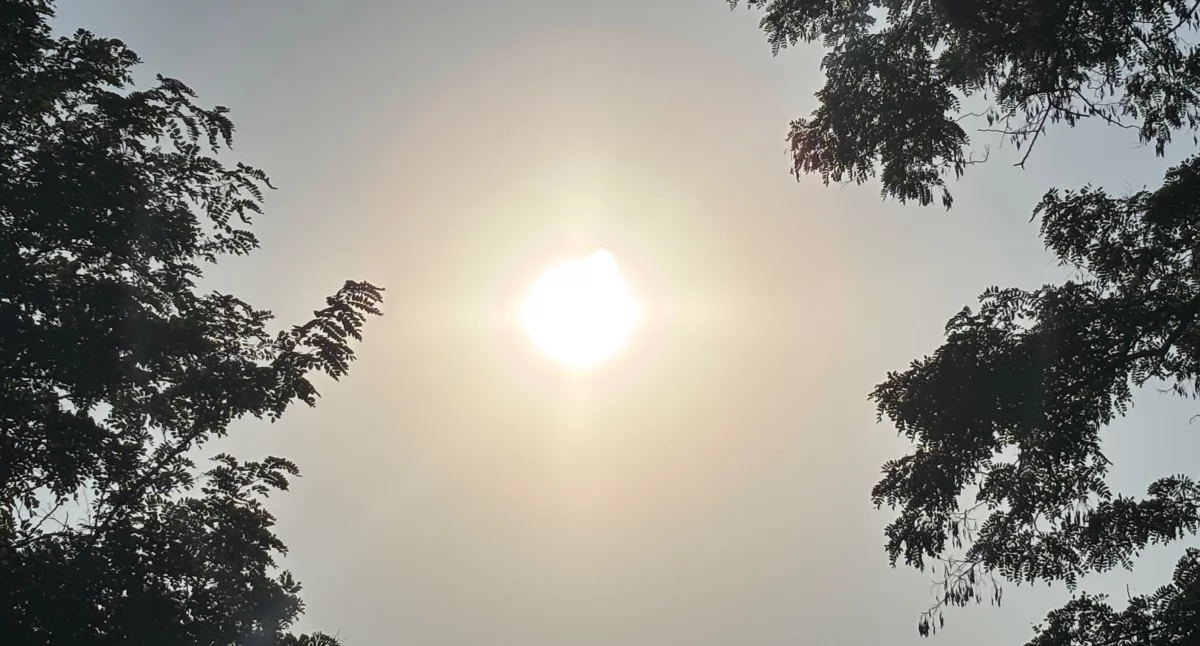 Meterologia, Uwaga! Ostrzeżenie meteorologiczne przed upałem burzami powiecie bialskim - zdjęcie, fotografia