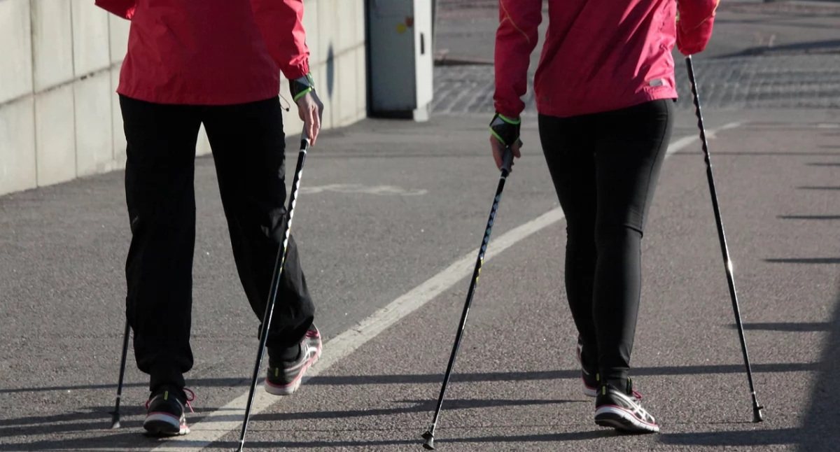 warsztaty, zdrowie energię ruszają zajęcia Nordic Walking Sworach - zdjęcie, fotografia