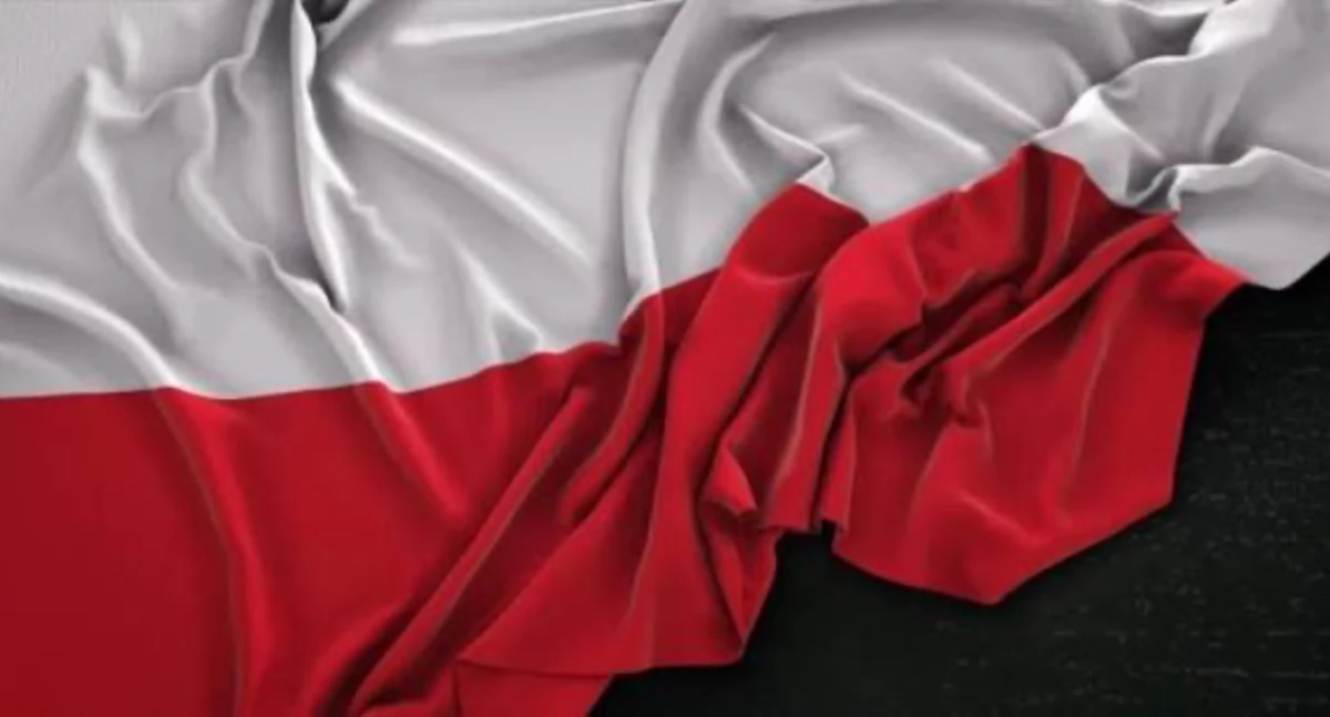 historia, dumą przeszłości radością przyszłości Gminne Obchody Święta Niepodległości Sworach - zdjęcie, fotografia