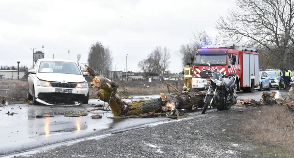 fot. KMP Biała Podlaska 