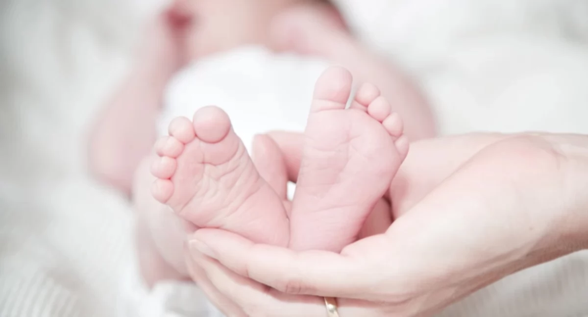 ludzie, znakiem narodzin wdzięczności podsumowanie Wojewódzkim Szpitalu Specjalistycznym Białej Podlaskiej - zdjęcie, fotografia