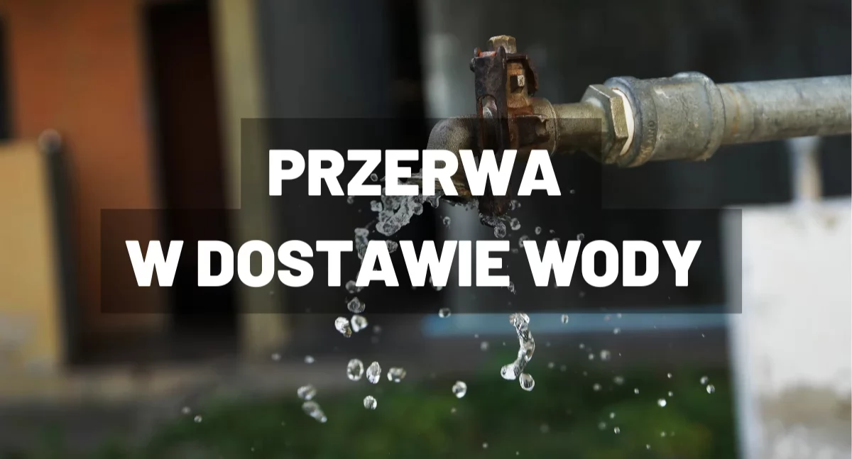 fot. canva.com/Korso.pl