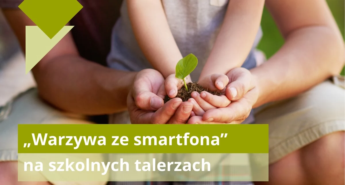 Inwestycje, Warzywa „na kliknięcie” Łomazach Gmina walczy unijne pieniądze szkolną rewolucję - zdjęcie, fotografia