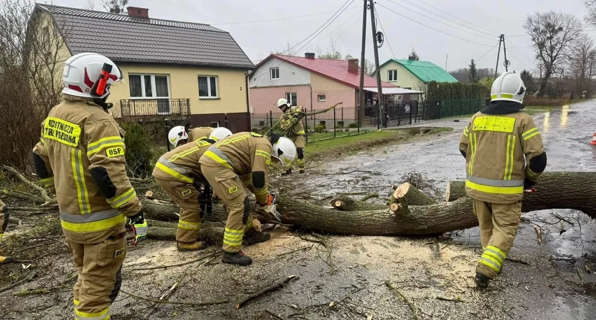 fot. Komenda Wojewódzka Państwowej Straży Pożarnej w Lublinie 