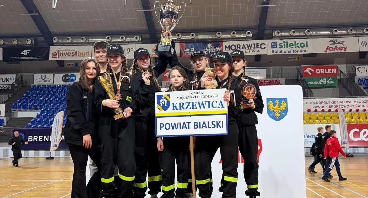 Stowarzyszenie OSP Krzewica / Fb