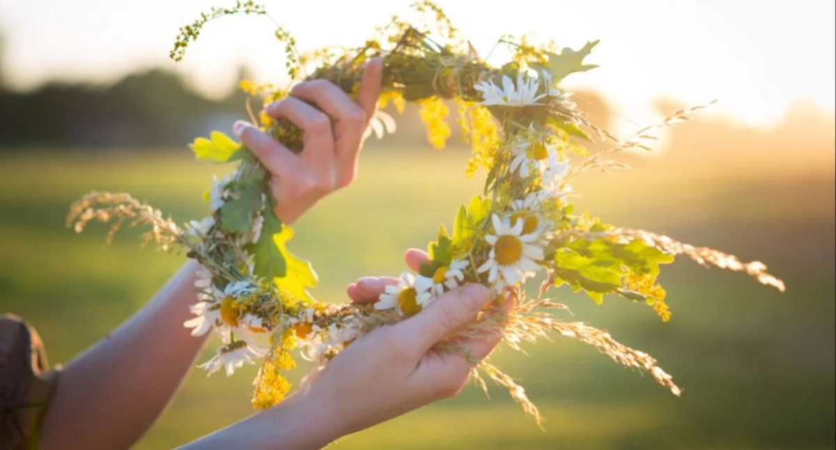 fot. Yevhrashakina/Shutterstock