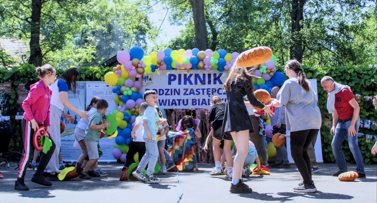 festyny, Piknik Rodzinny okazji Rodzicielstwa Zastępczego Dziecka Roskoszy - zdjęcie, fotografia