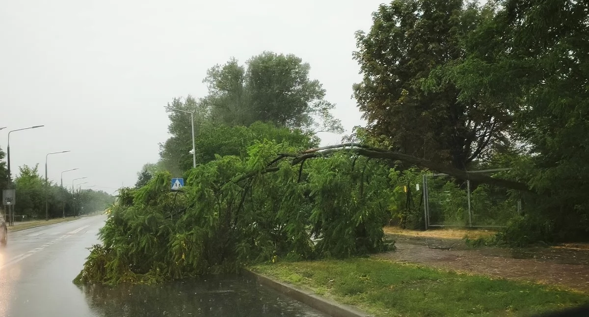 fot. Info Meteo LU - Biała Podlaska/Fb
