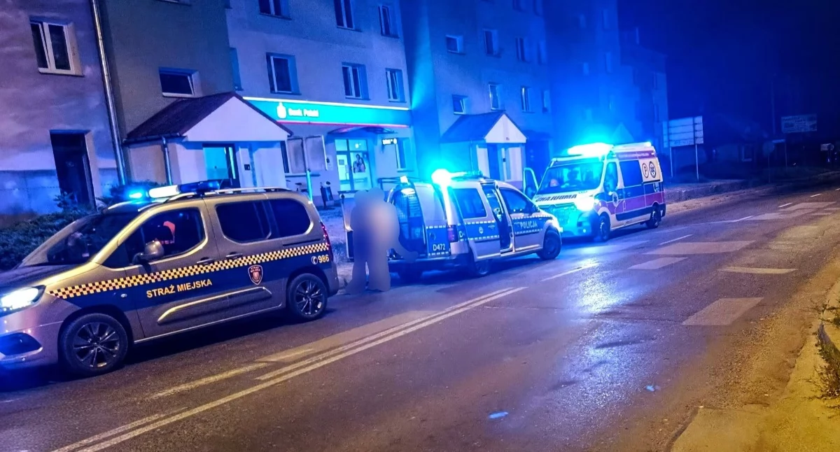 źródło: Straż Miejska Biała Podlaska/ fb