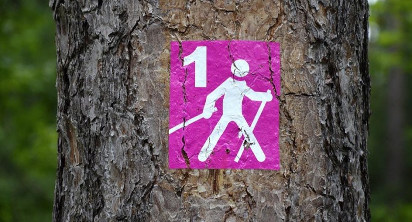 historia, Starej Bordziłówce zaprasza marsz Nordic Walking Wilczym Tropem - zdjęcie, fotografia