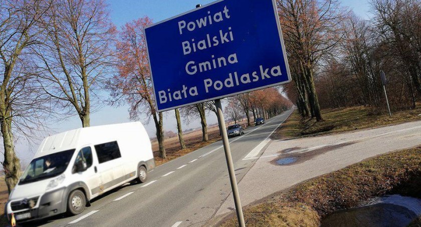 warsztaty, Ostatni dzień zapisów warsztaty robienia drzewka - zdjęcie, fotografia