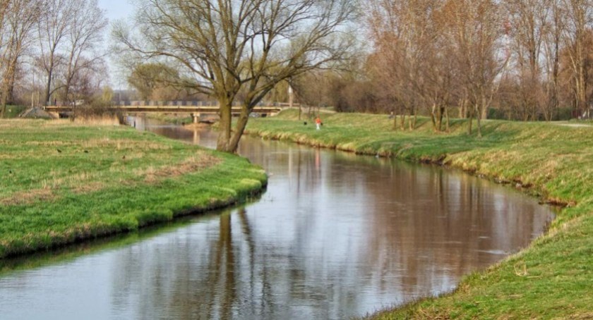 zdrowie, Uważaj niebezpieczną roślinę - zdjęcie, fotografia