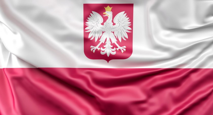 Zdjęcie: www.slon.pics, Freepick