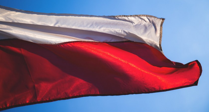 Zdjęcie: freestocks-photos z Pixabay 