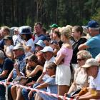 zdjęcie nr 136