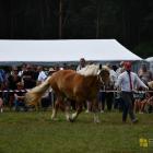 zdjęcie nr 192