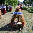 zdjęcie nr 195