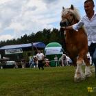 zdjęcie nr 113