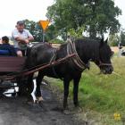 zdjęcie nr 125