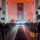 Fotka nr 5 z 14
